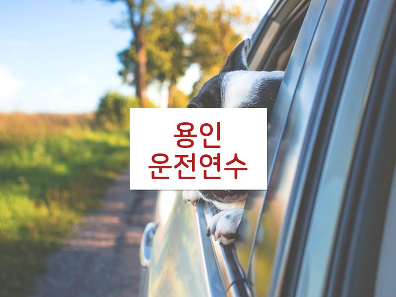 용인운전연수 후기