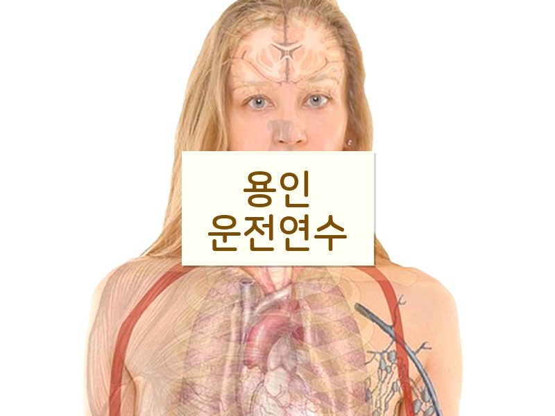 용인운전연수 후기