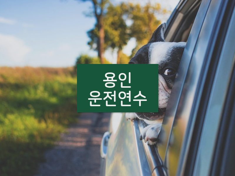 용인운전연수 후기