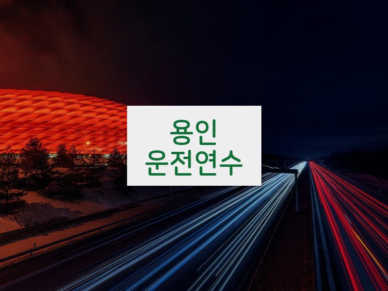 용인운전연수 후기