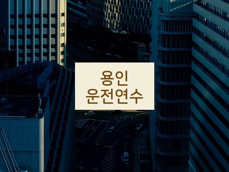 용인운전연수 후기