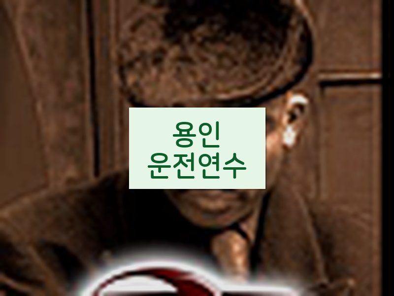 용인운전연수 후기