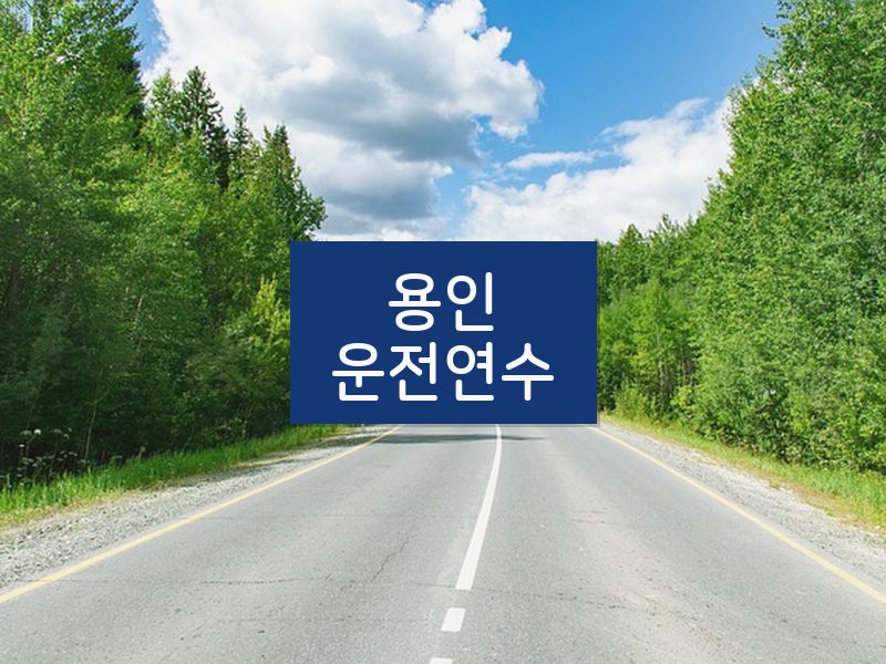 용인운전연수 후기