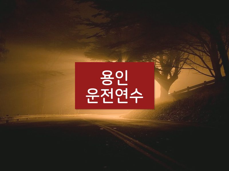 용인운전연수 후기