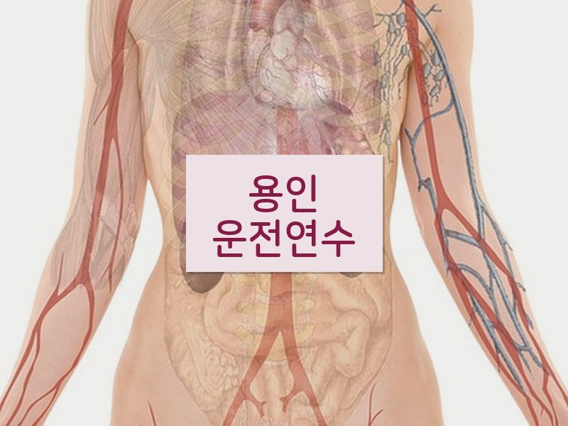 용인운전연수 후기