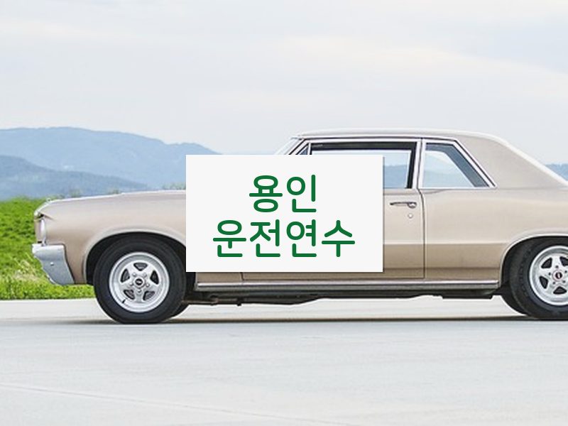 용인운전연수 후기