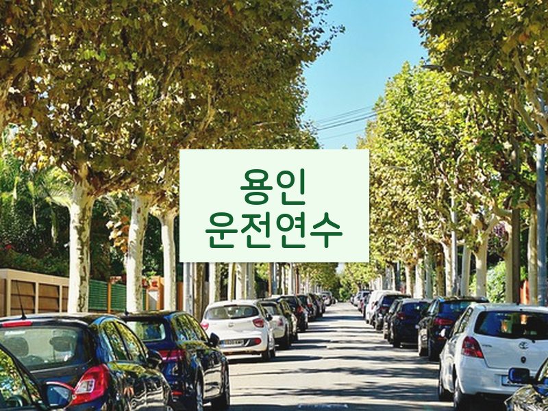 용인운전연수 후기