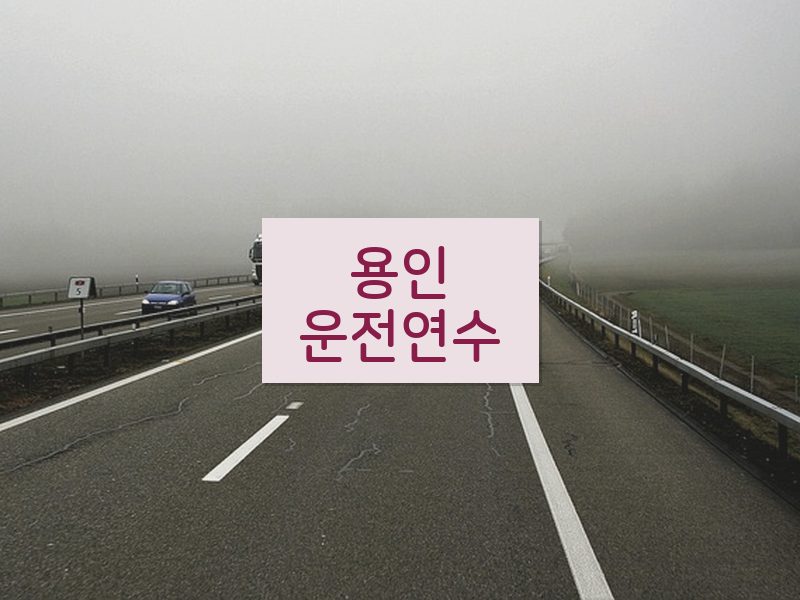 용인운전연수 후기