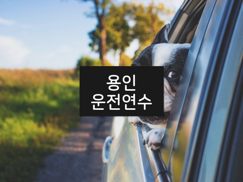 용인운전연수 후기