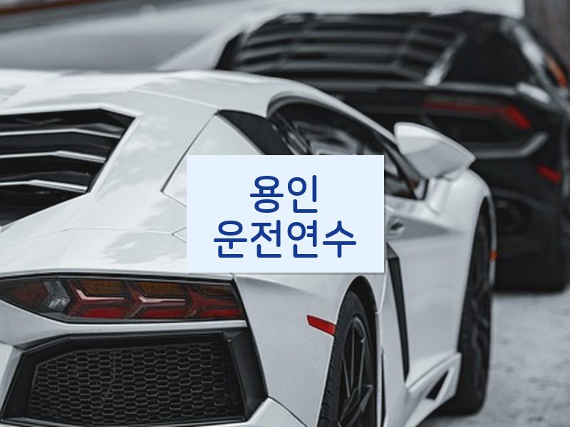 용인운전연수 후기