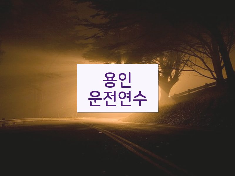 용인운전연수 후기