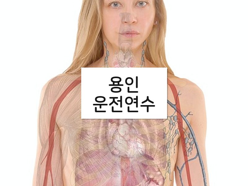 용인운전연수 후기