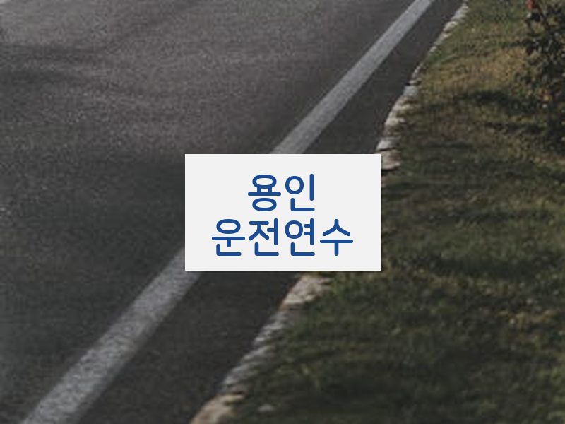 용인운전연수 후기