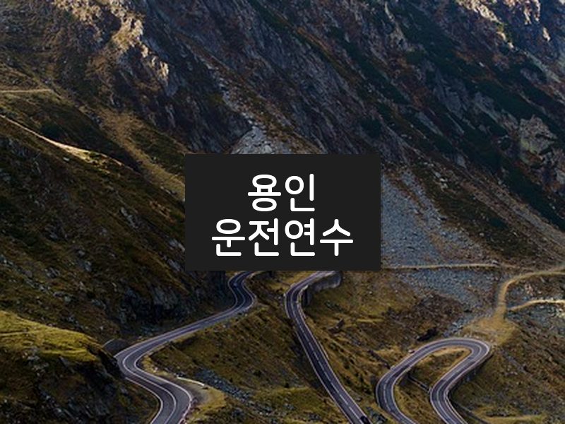 용인운전연수 후기