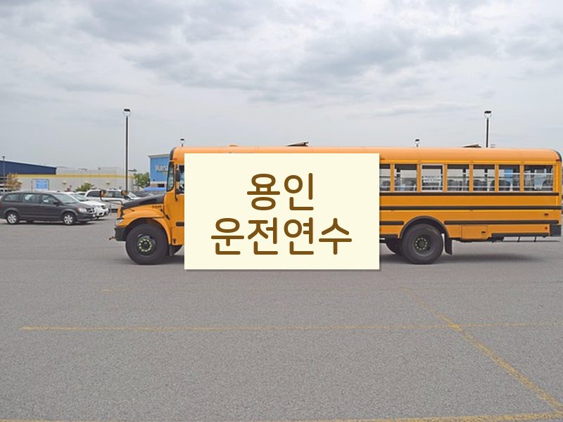 용인운전연수 후기