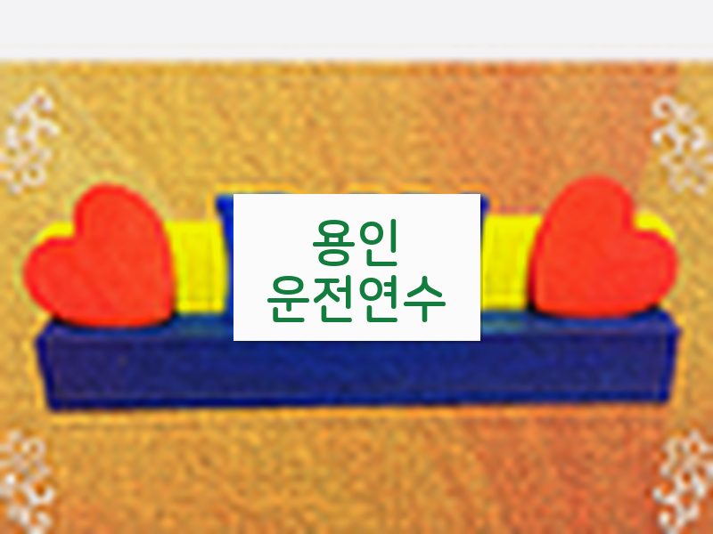 용인운전연수 후기