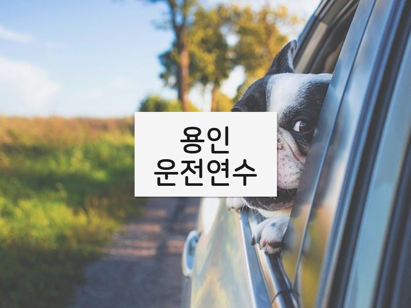 용인운전연수 후기