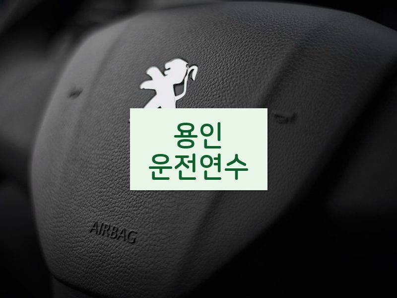 용인운전연수 후기