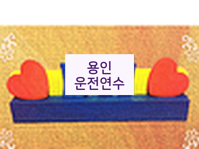 용인운전연수 후기