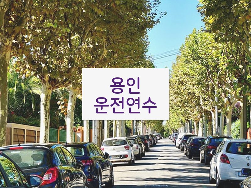 용인운전연수 후기