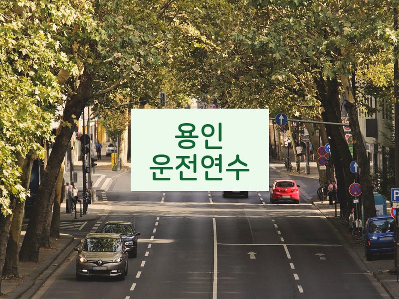 용인운전연수 후기