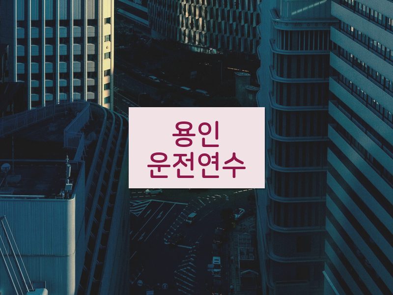 용인운전연수 후기
