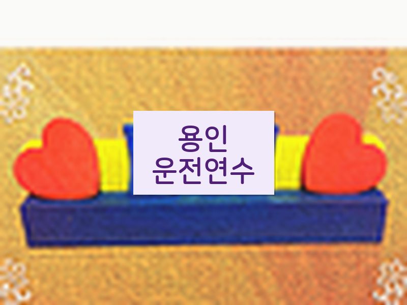 용인운전연수 후기