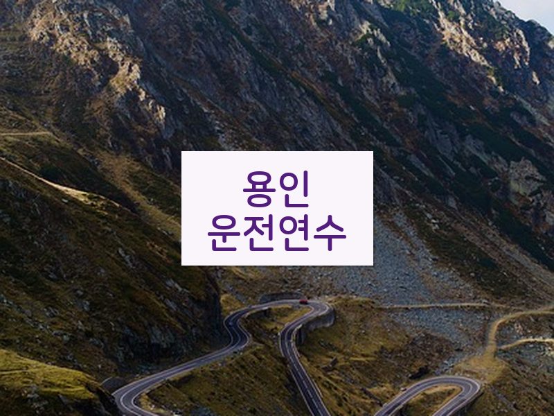 용인운전연수 후기