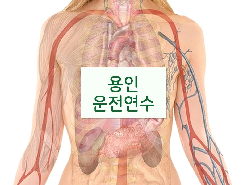 용인운전연수 후기