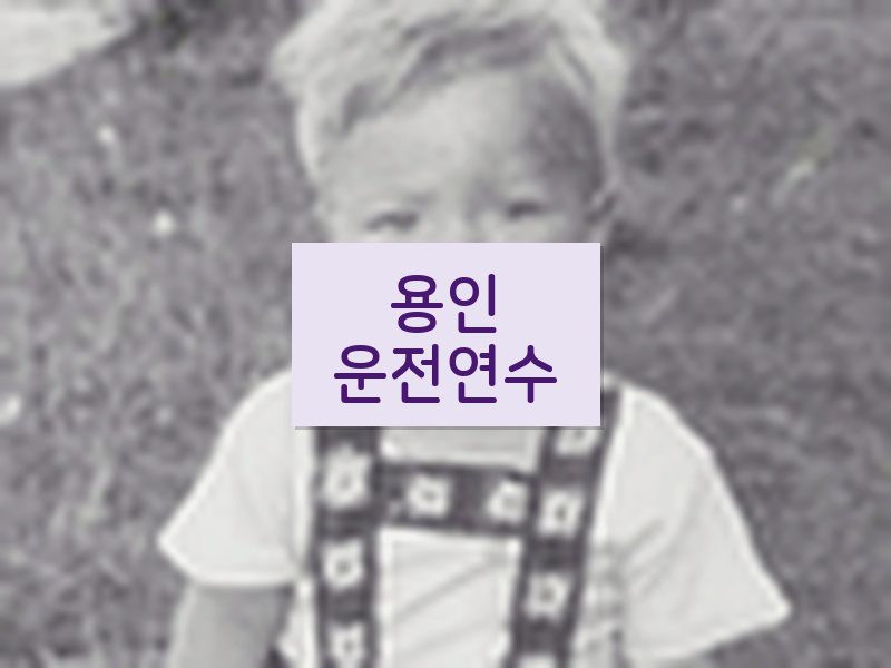 용인운전연수 후기