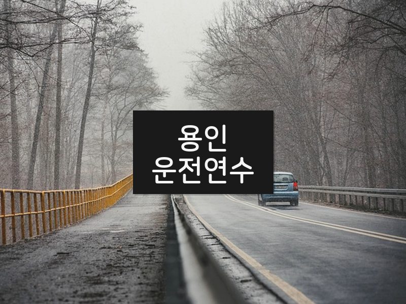 용인운전연수 후기