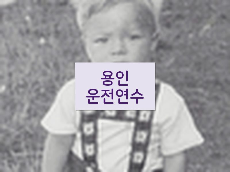 용인운전연수 후기