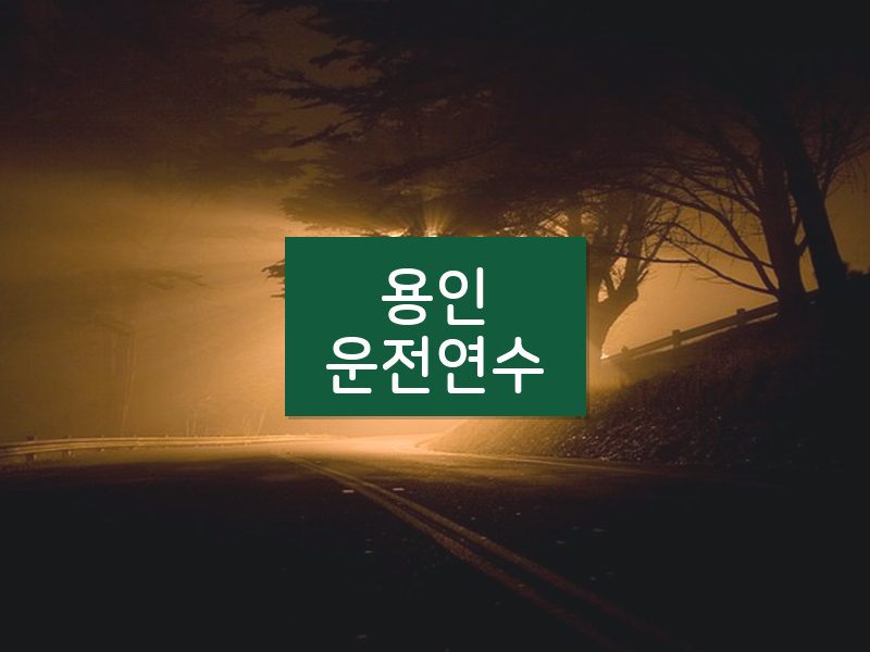 용인운전연수 후기