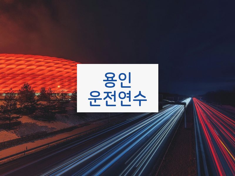 용인운전연수 후기