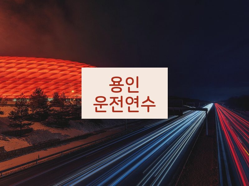 용인운전연수 후기