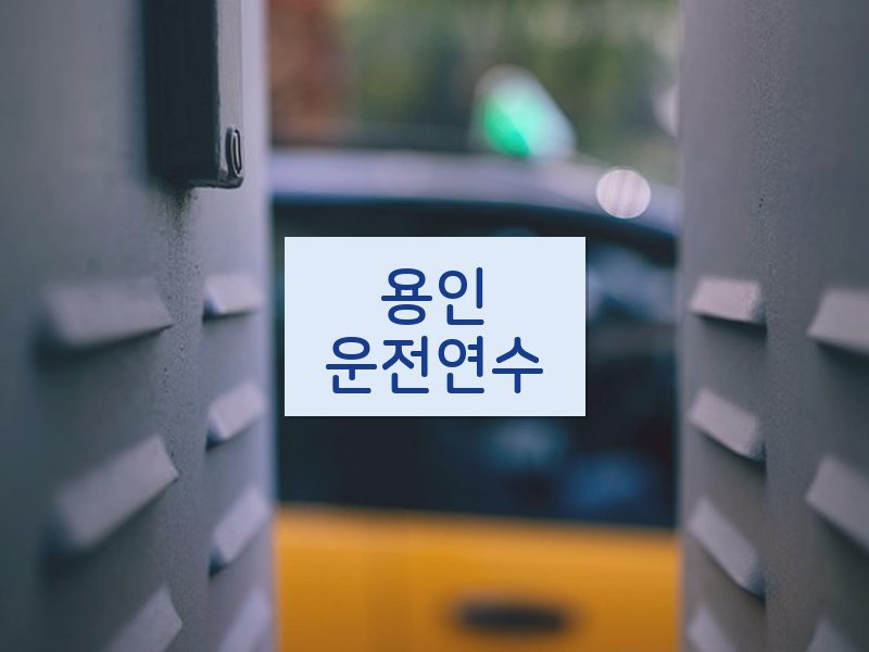 용인운전연수 후기