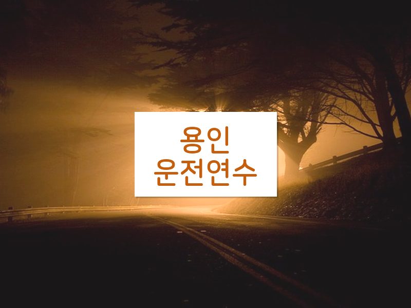 용인운전연수 후기