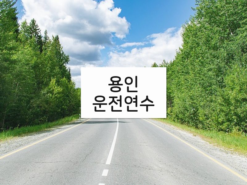 용인운전연수 후기