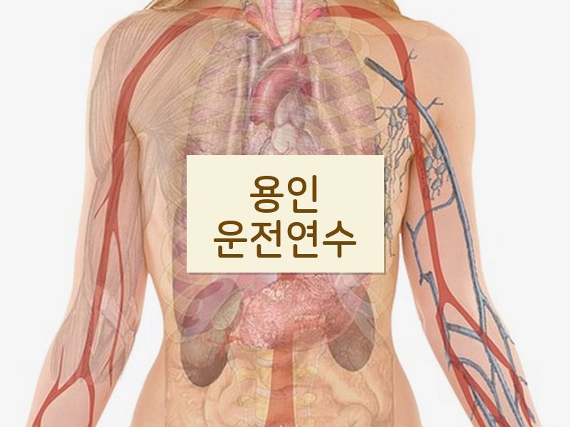 용인운전연수 후기