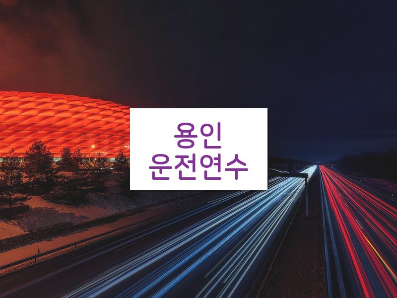 용인운전연수 후기