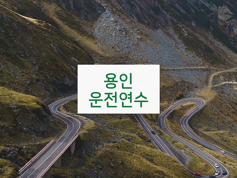용인운전연수 후기