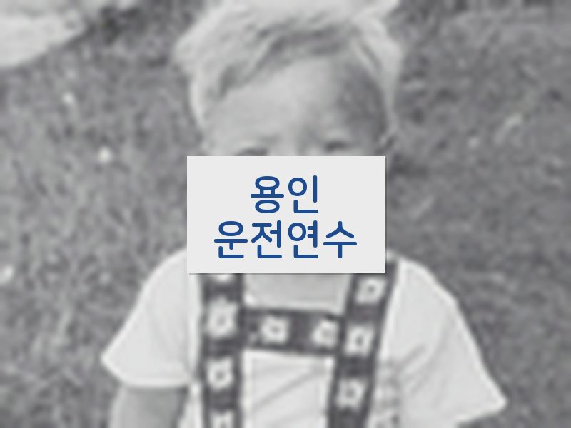 용인운전연수 후기