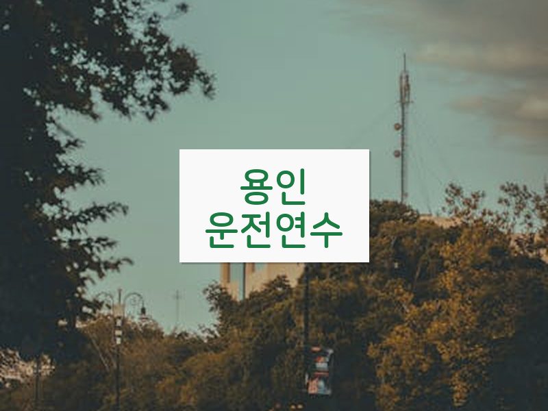 용인운전연수 후기