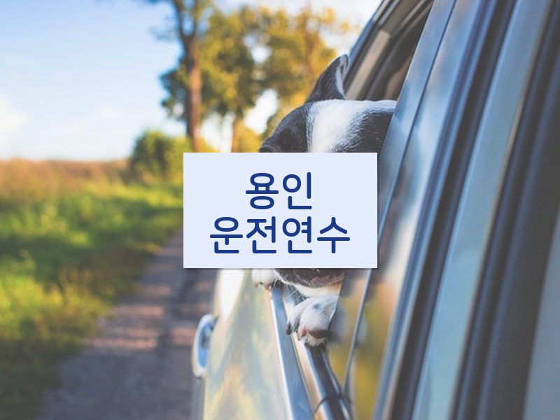 용인운전연수 후기