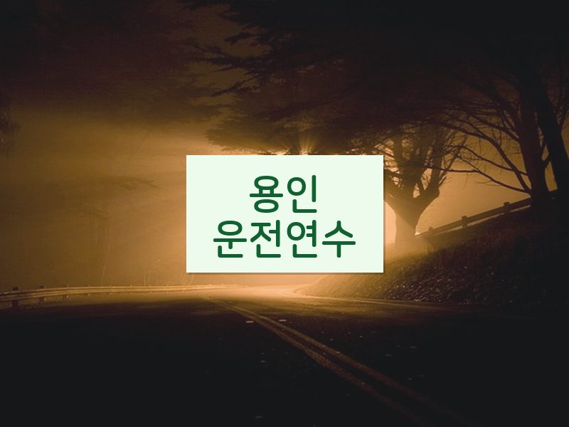 용인운전연수 후기