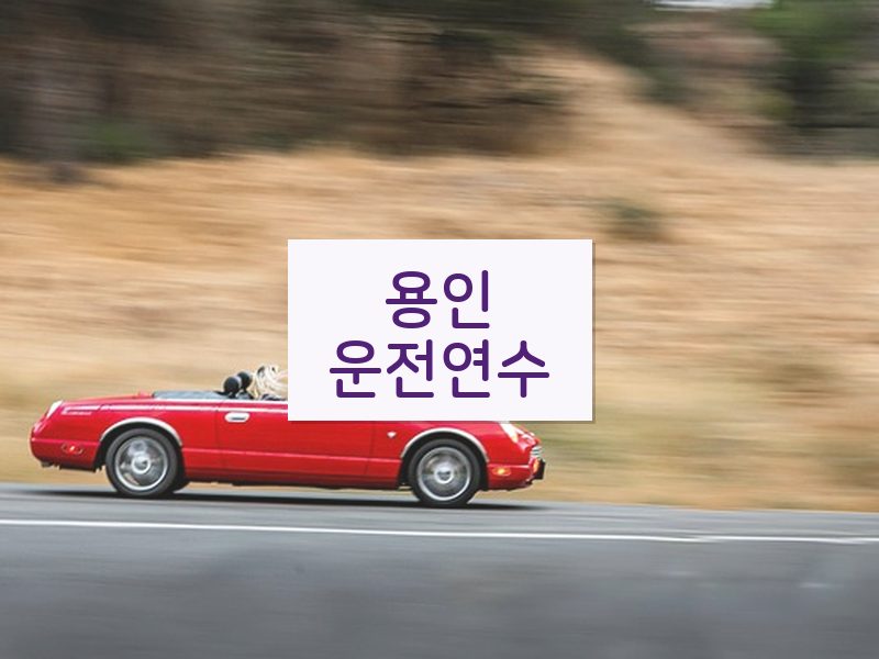 용인운전연수 후기