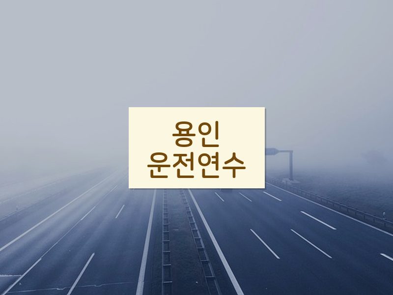 용인운전연수 후기