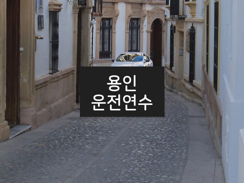 용인운전연수 후기