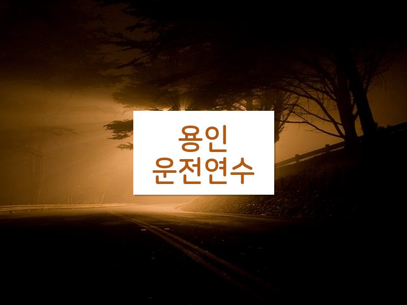 용인운전연수 후기