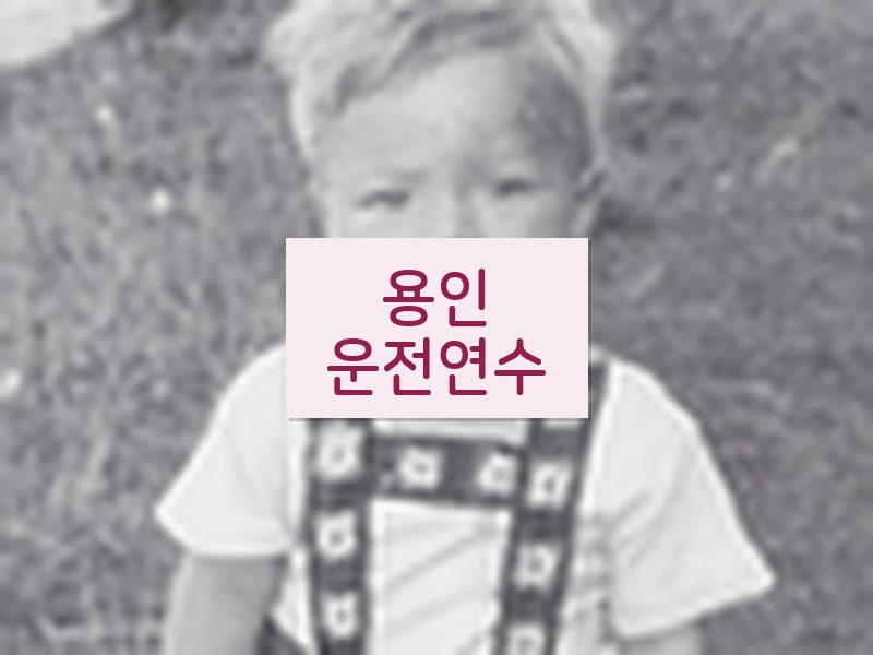 용인운전연수 후기